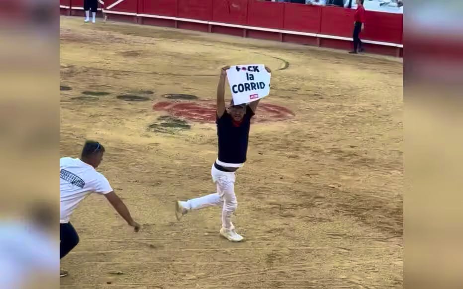 Garde à vue d’un influenceur après une action anti-corrida dans les arènes de Nîmes