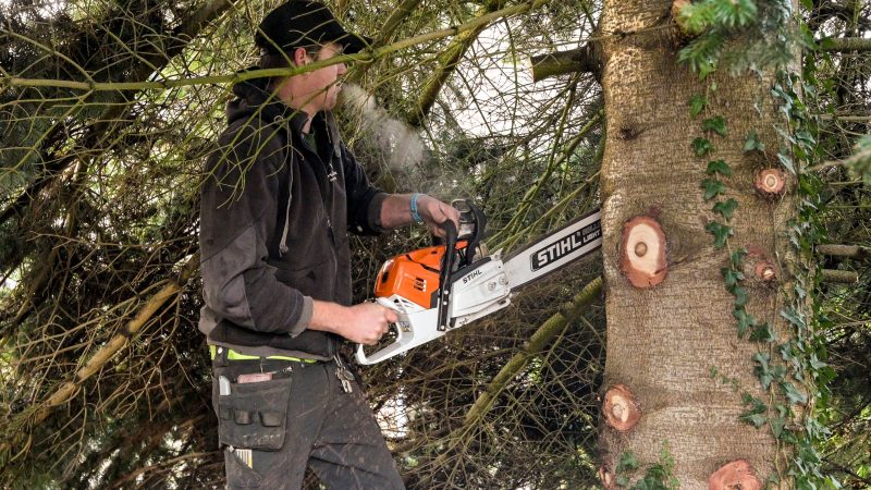 Accident mortel en forêt de Burglauenen (Grindelwald, BE) : un bûcheron écrasé par un tronc