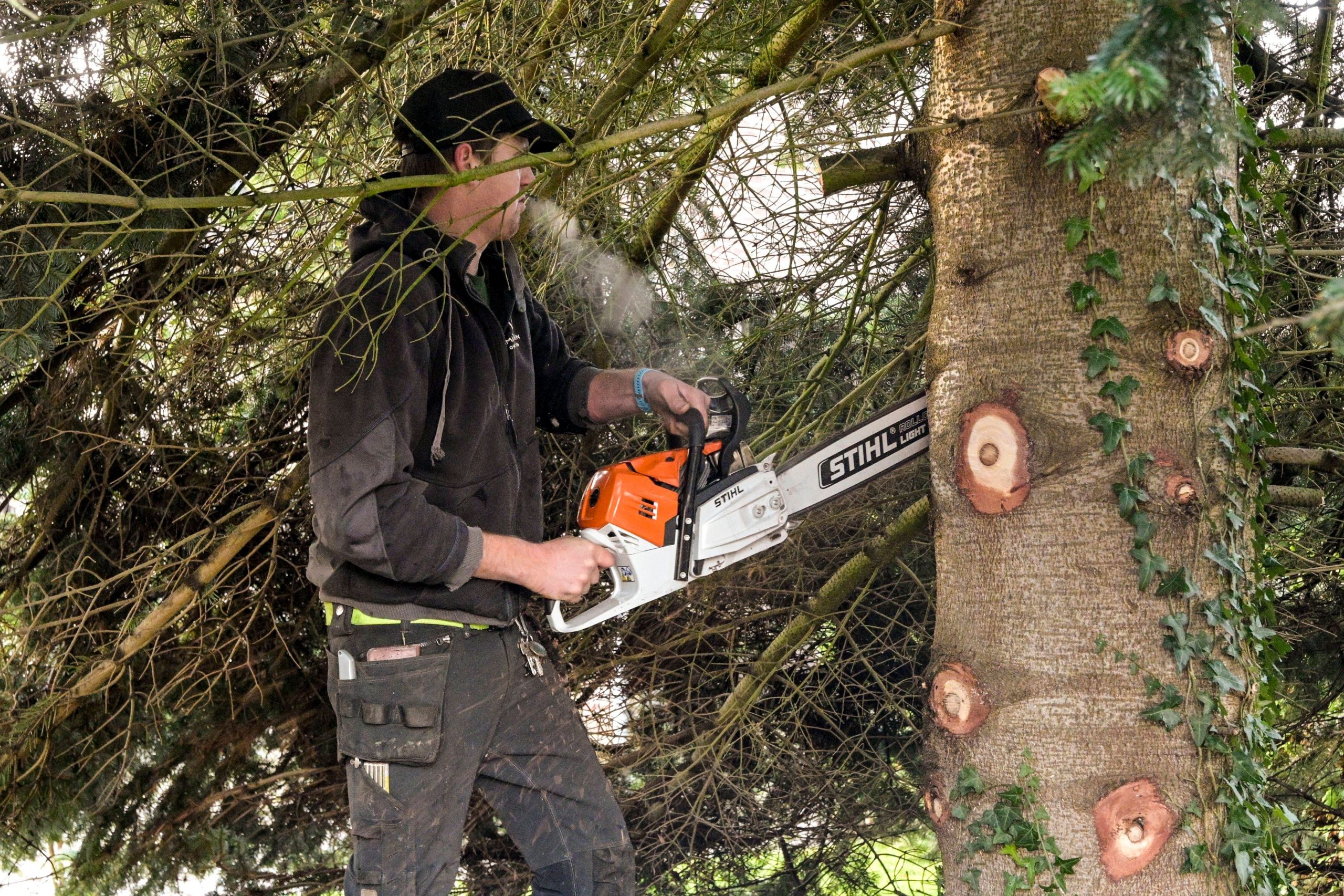 Accident mortel en forêt de Burglauenen (Grindelwald, BE) : un bûcheron écrasé par un tronc