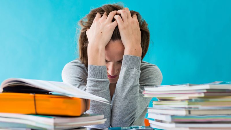 Stress léger et santé : étude suisse montre des effets potentiels chez le modèle C. elegans