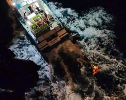 Orques attaquent un voilier au large du Portugal et sauvetage assuré par l’armée portugaise