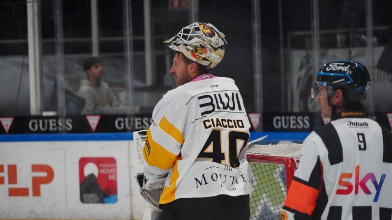 Ventes de bois de chauffage en Valais : prévenir les escroqueries en ligne