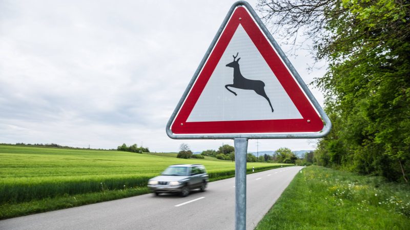 Zelensky arrive à Washington pour des discussions sur les missiles Tomahawk et l’évolution du dossier ukrainien