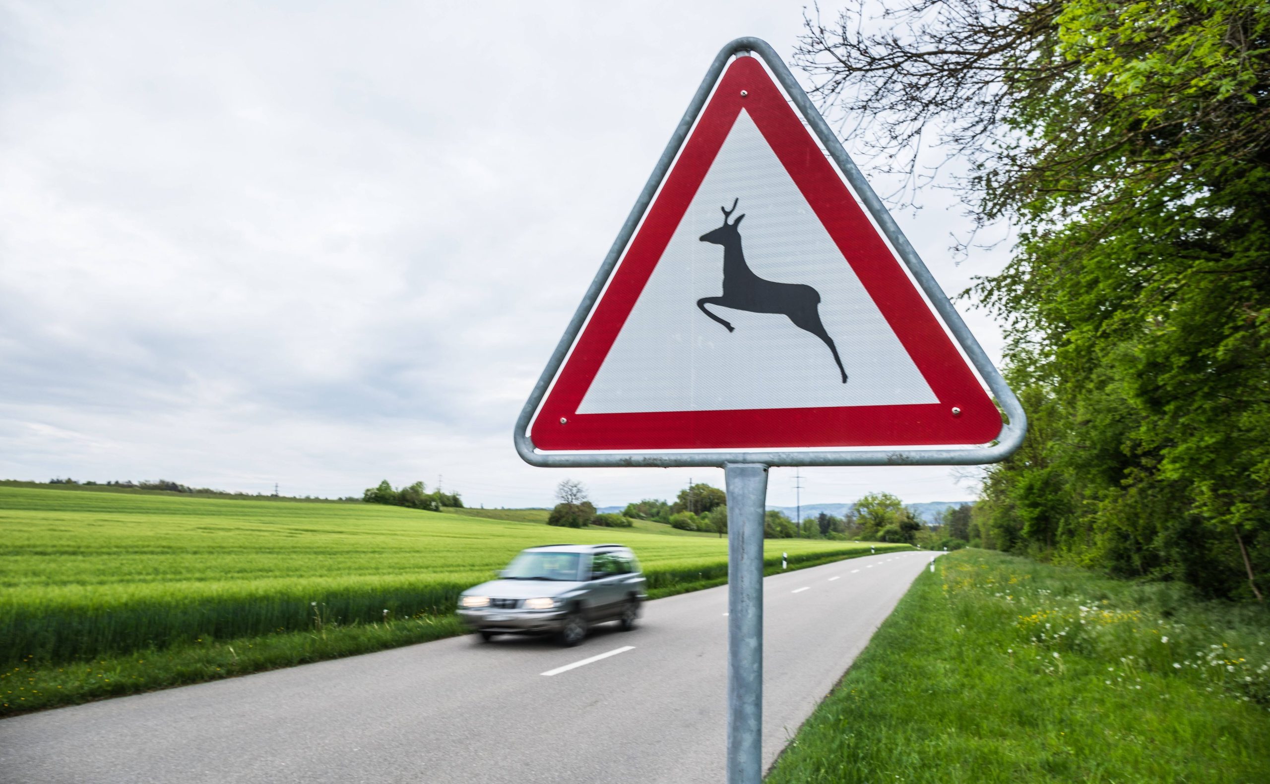 Zelensky arrive à Washington pour des discussions sur les missiles Tomahawk et l’évolution du dossier ukrainien