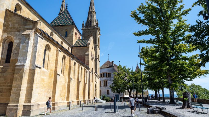 Eau de clou de girofle : bienfaits et préparation pour l’automne — guide pratique